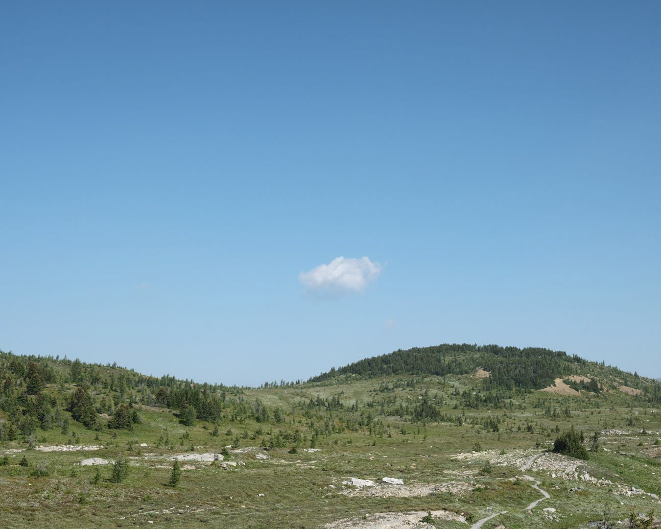 Summer in the Canadian Rockies - 2023 - 24