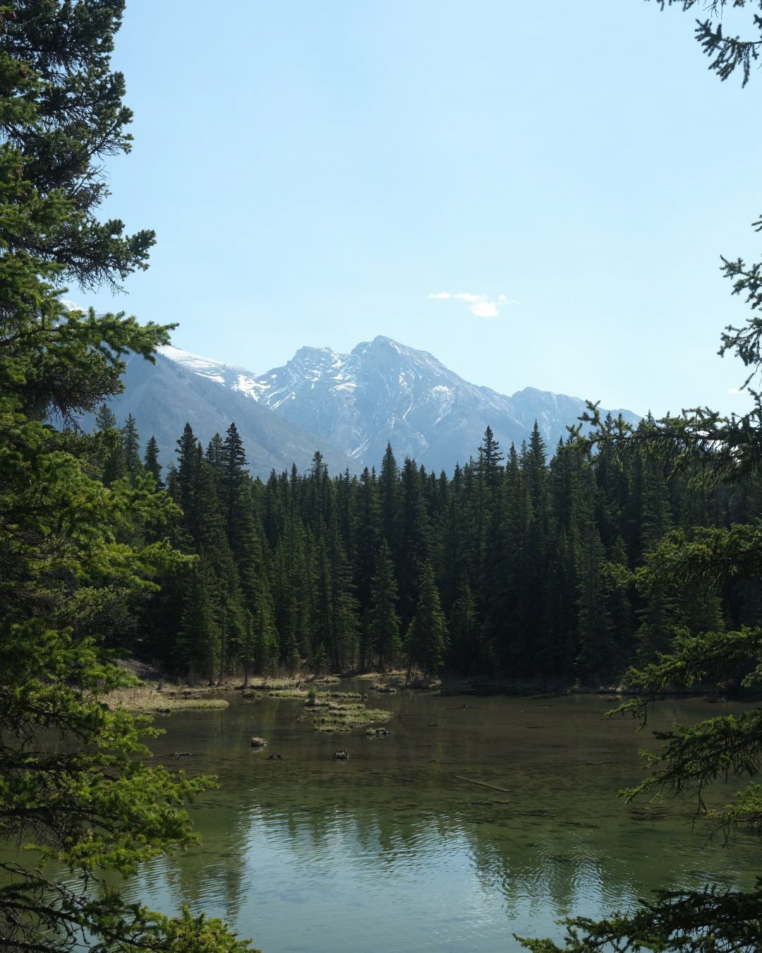 Summer in the Canadian Rockies - 2023 - 08
