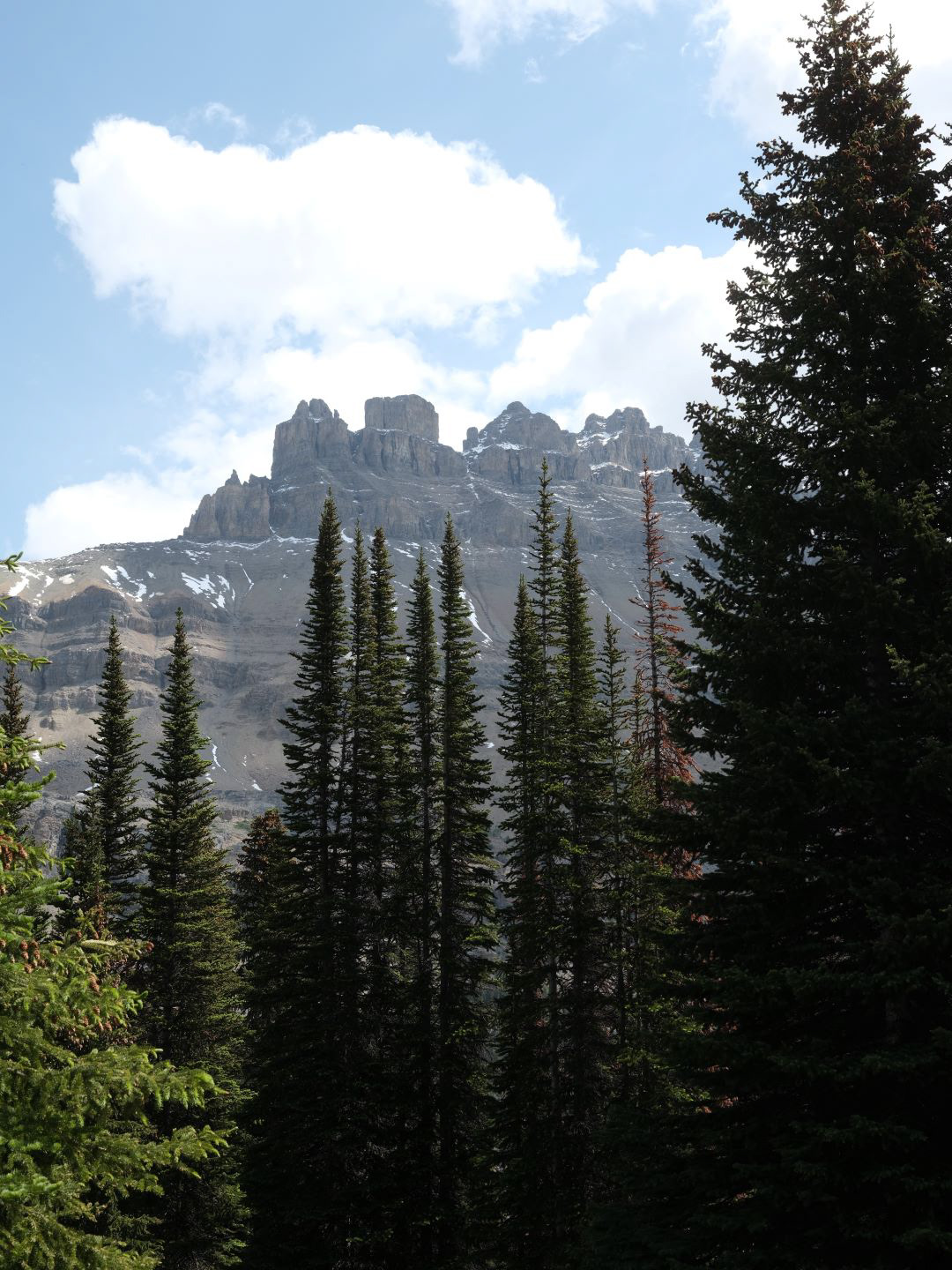 Summer in the Canadian Rockies - 2023 - 14