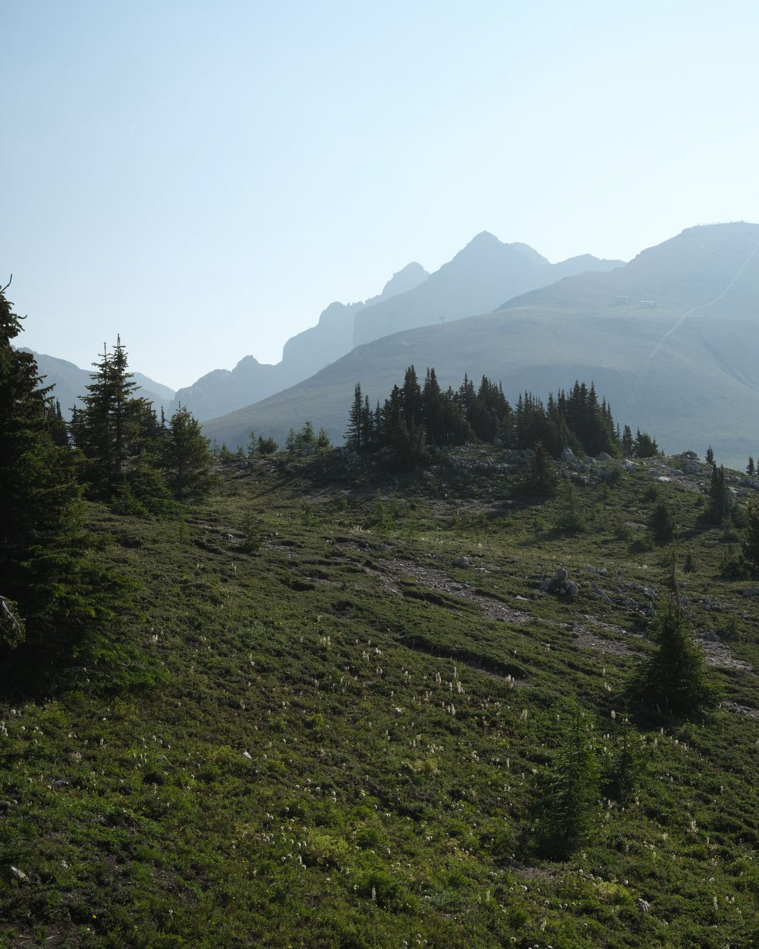 Summer in the Canadian Rockies - 2023 - 27