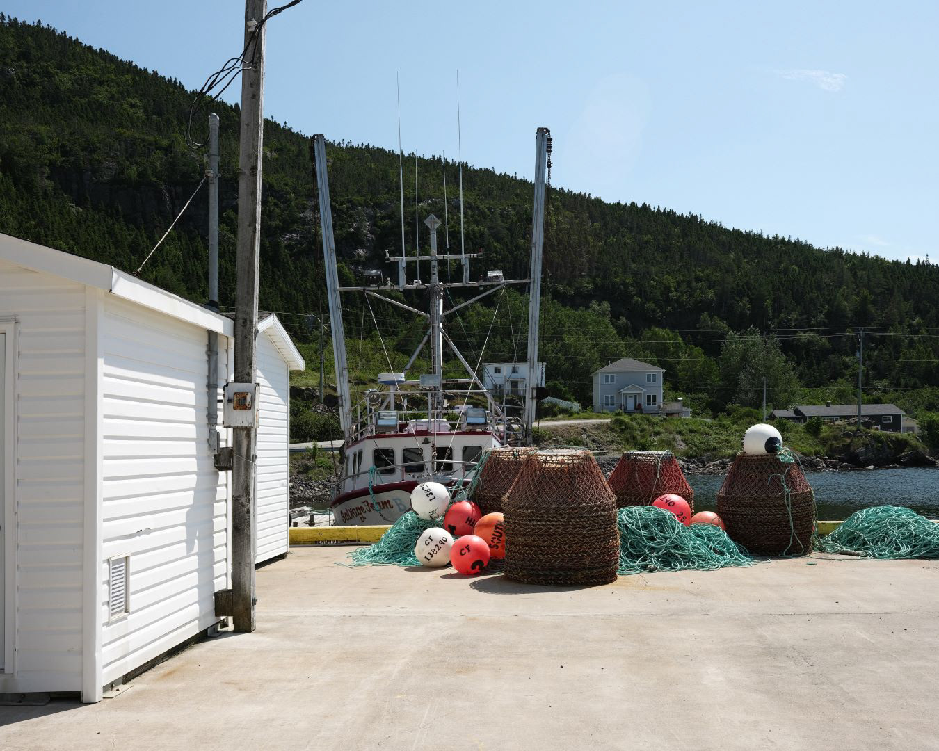 Newfoundland, Canada - 2023 - 37