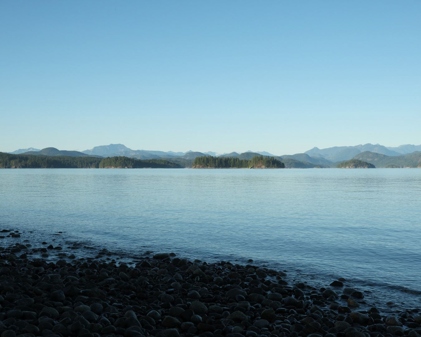 Vancouver Island, Canada - 2023 - 01