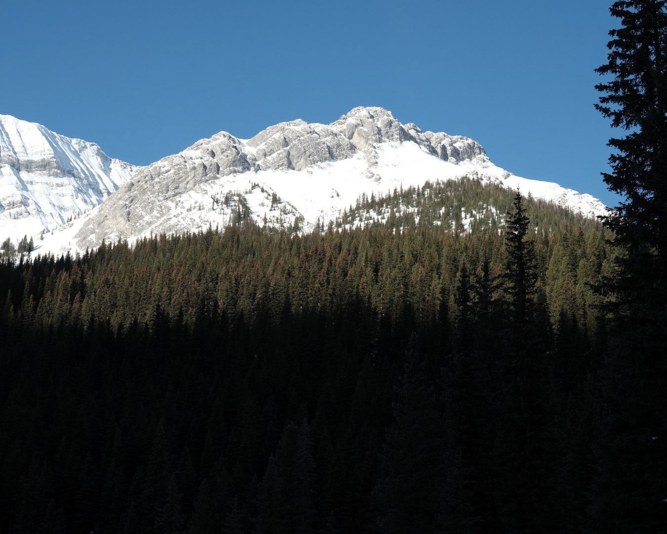 Winter in Canadian Rockies - 2023 - 16
