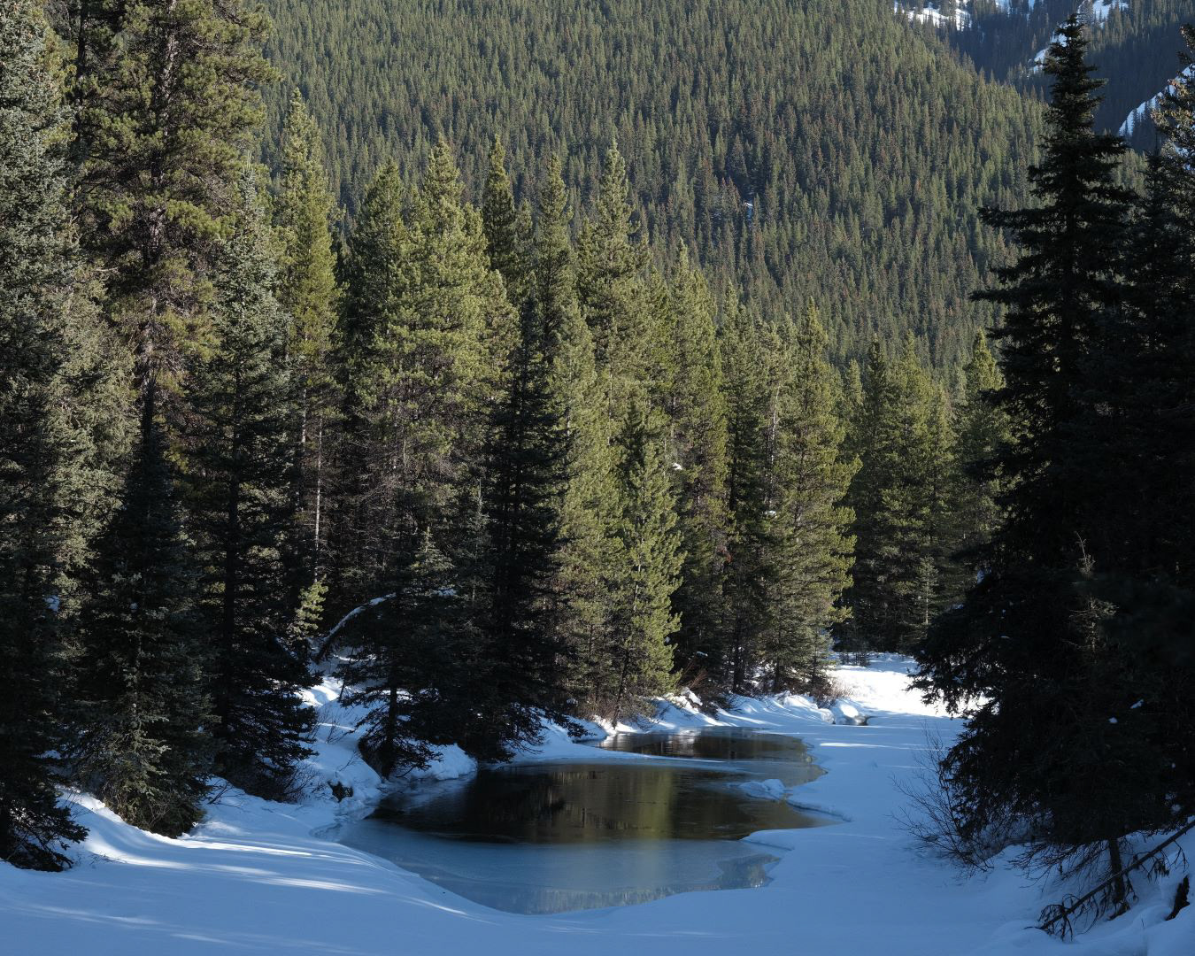 Winter in Canadian Rockies - 2023 - 17