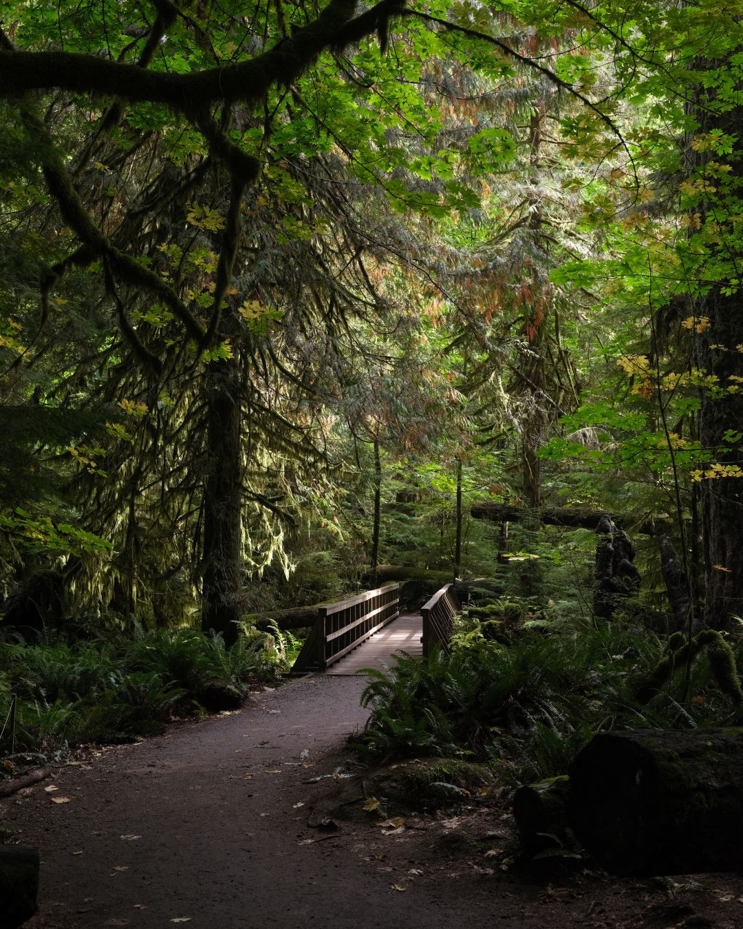 Vancouver Island, Canada - 2023 - 12