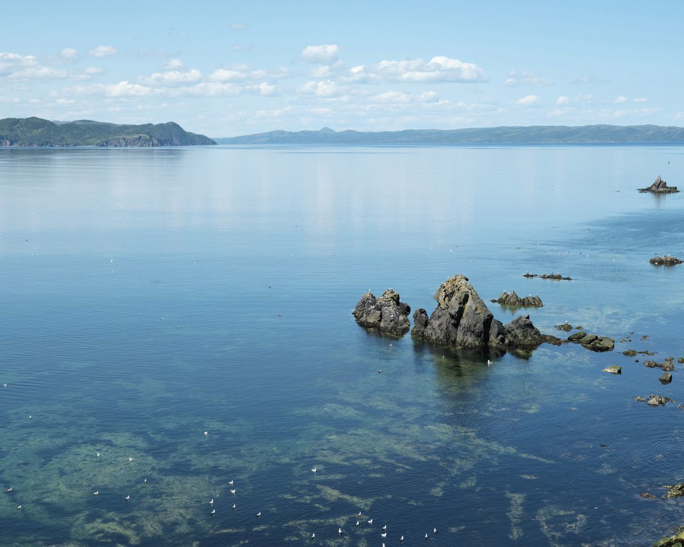 Newfoundland, Canada - 2023 - 54