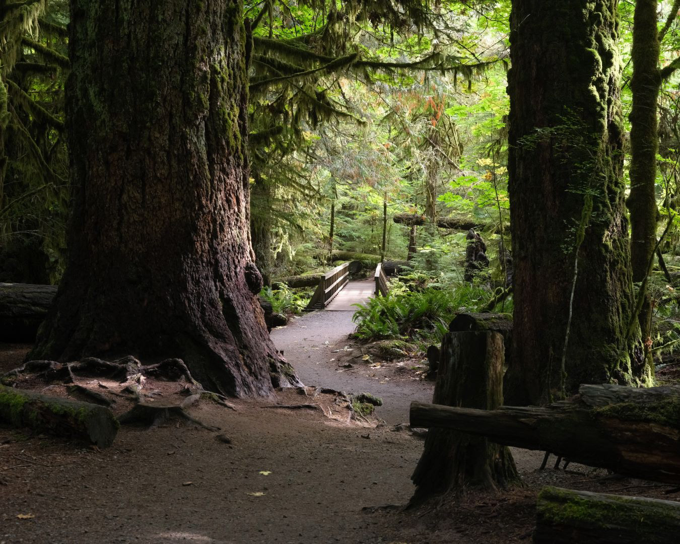 Vancouver Island, Canada - 2023 - 14