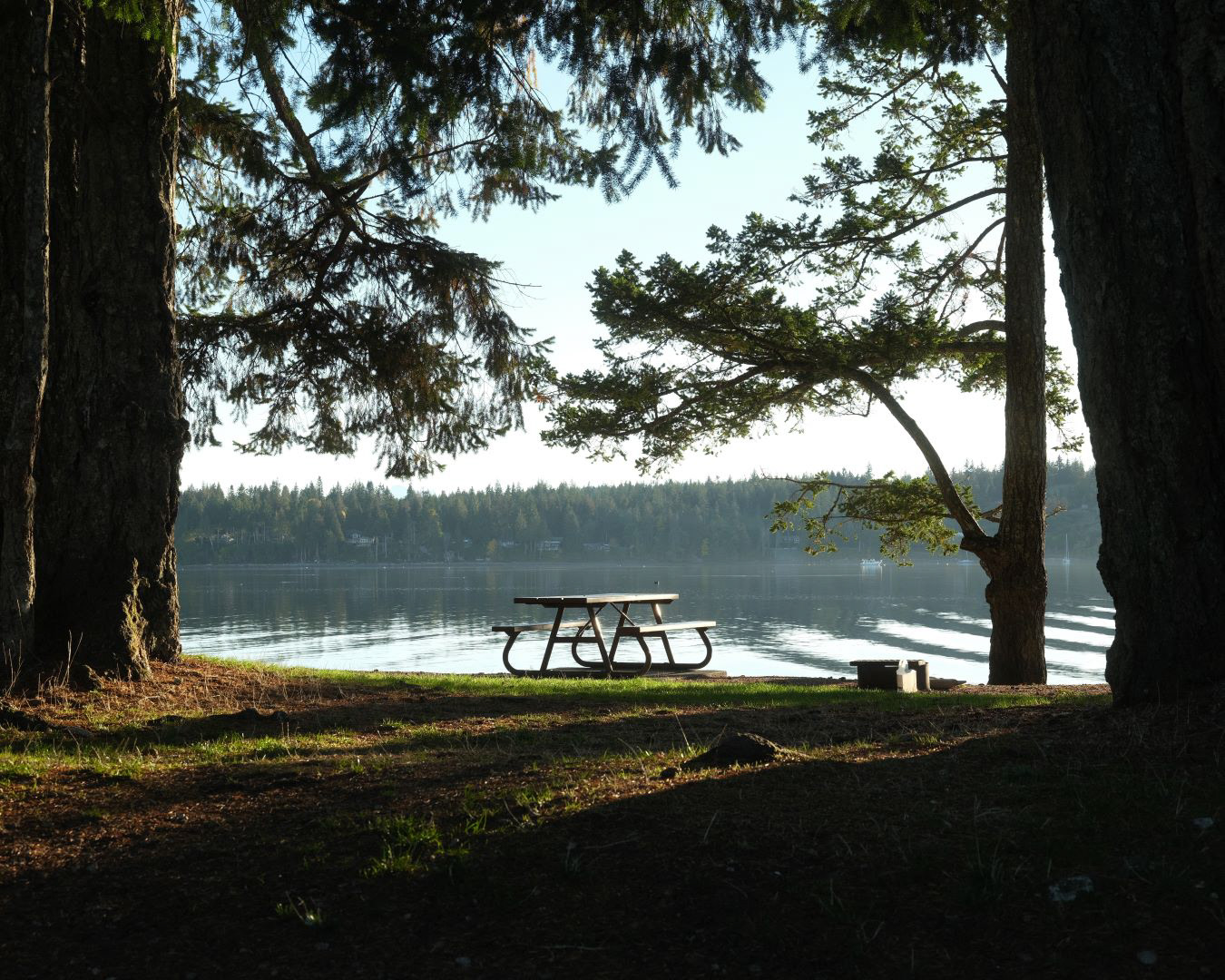 Vancouver Island, Canada - 2023 - 08