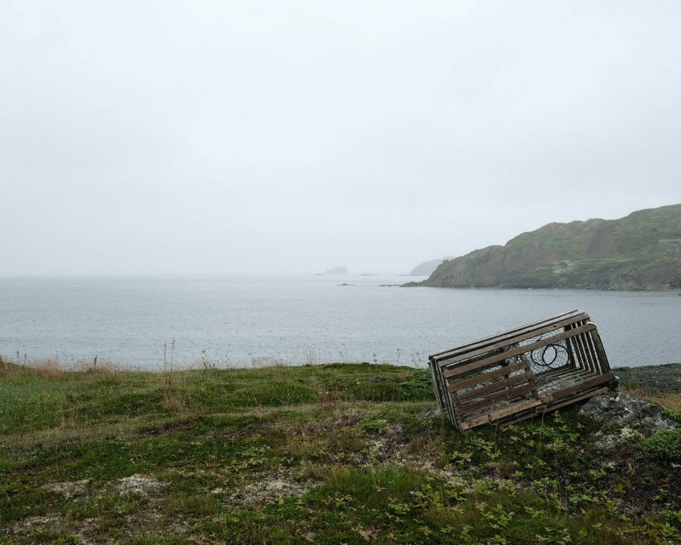 Newfoundland, Canada - 2023 - 27