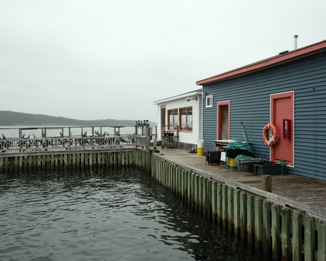 Newfoundland, Canada - 2023 - 22