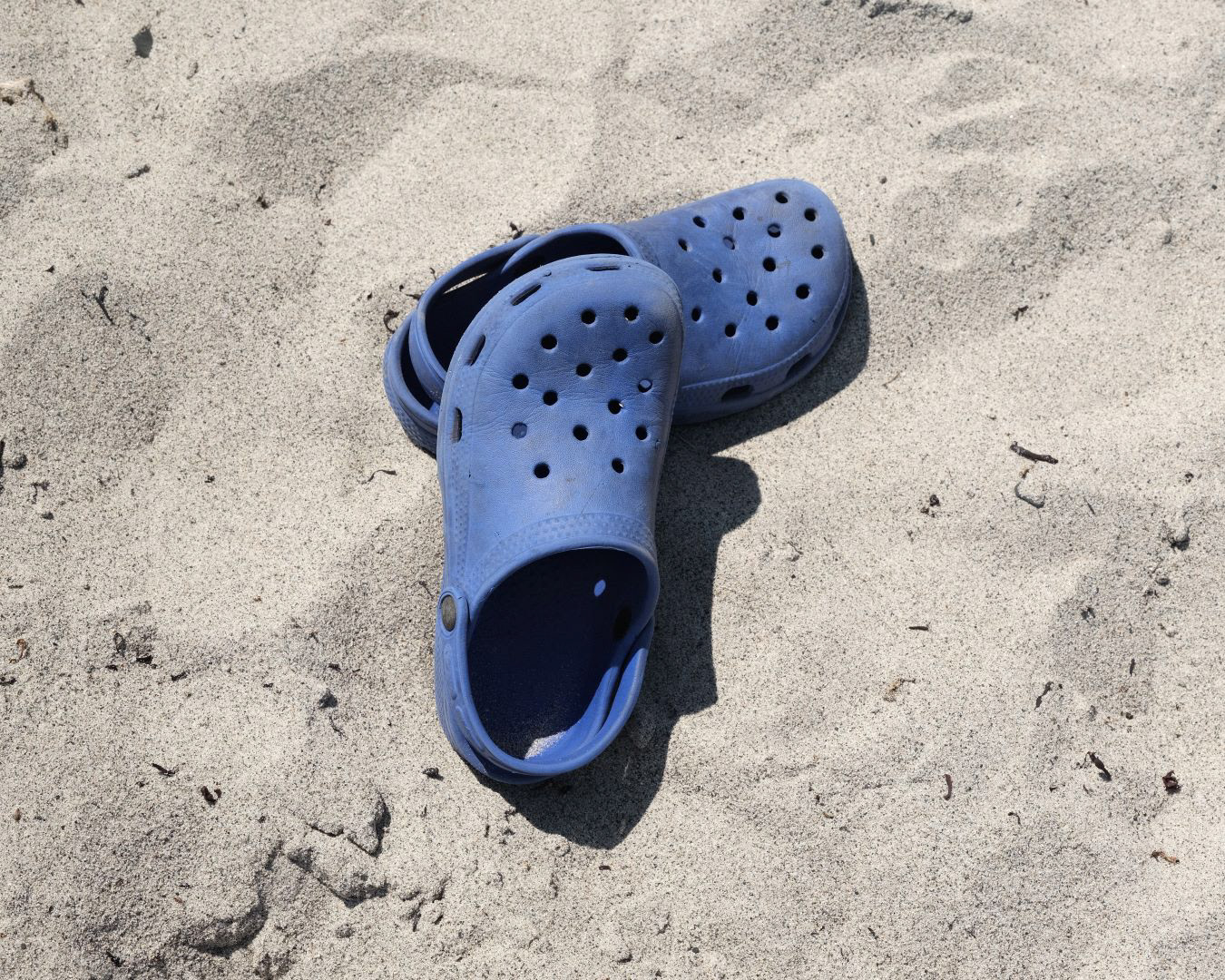 Newfoundland, Canada - 2023 - 59