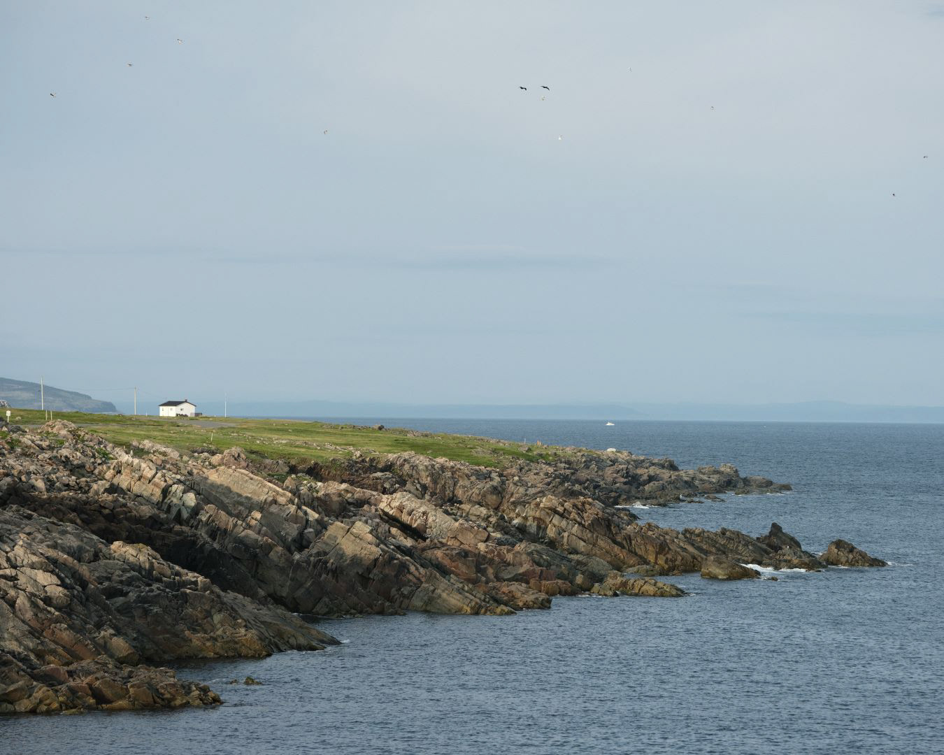 Newfoundland, Canada - 2023 - 44