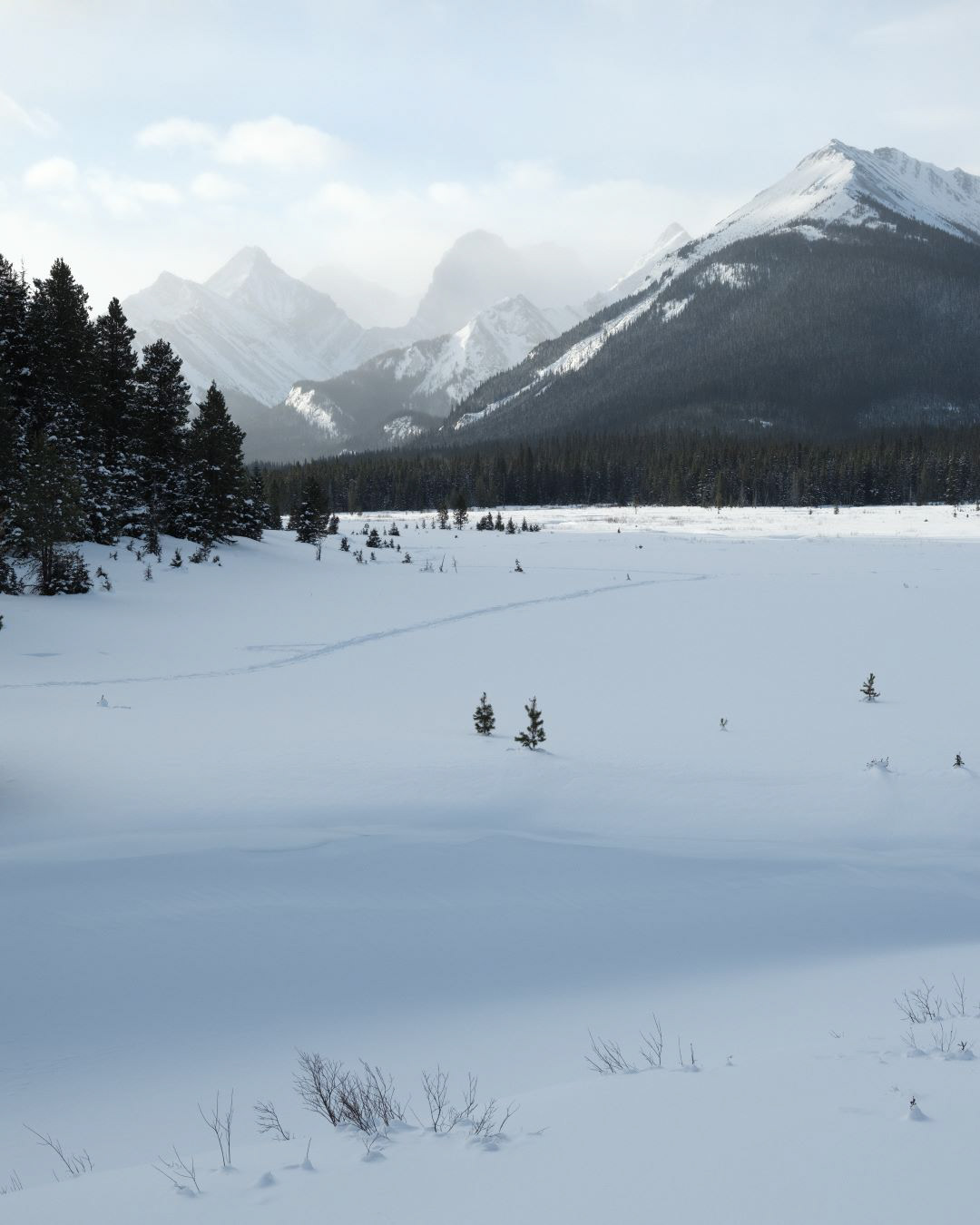 Winter in Canadian Rockies - 2023 - 05