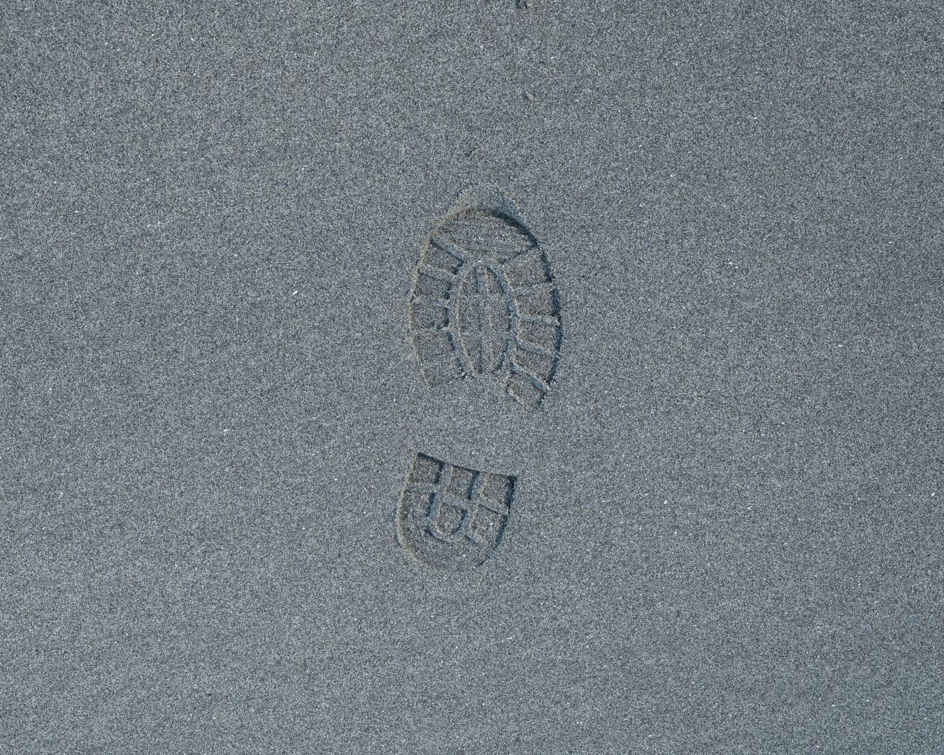 Vancouver Island, Canada - 2023 - 05