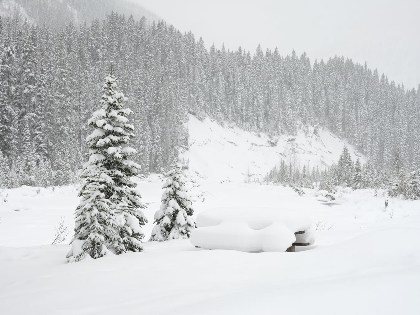 Winter in Canadian Rockies - 2023 - 11