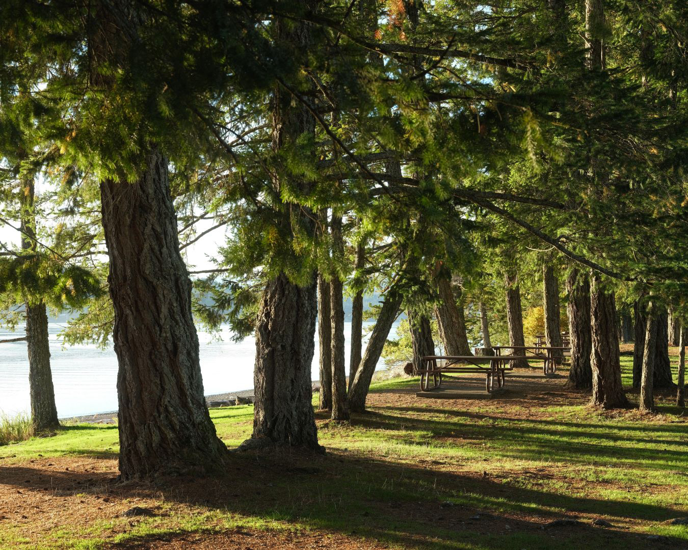 Vancouver Island, Canada - 2023 - 16