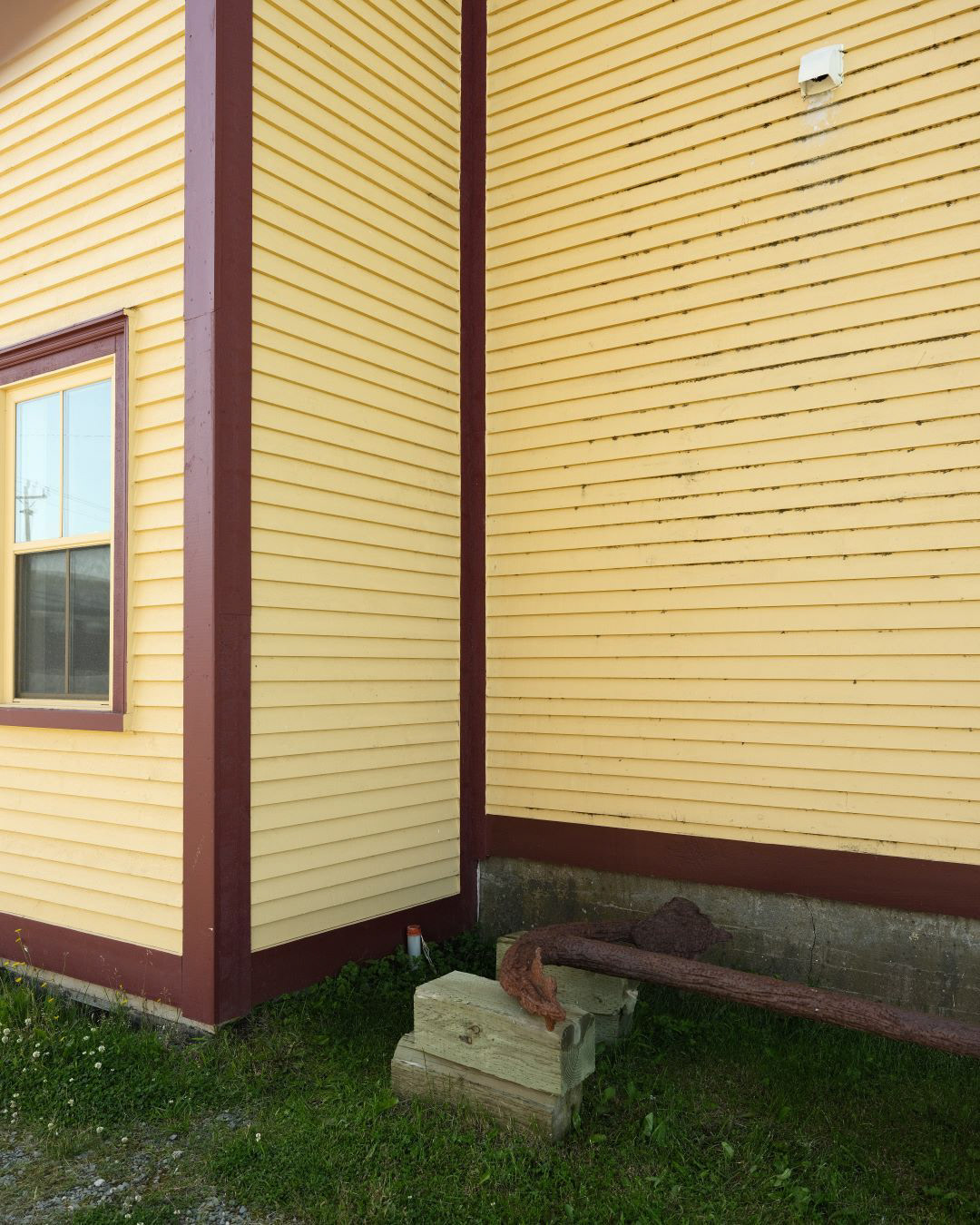 Newfoundland, Canada - 2023 - 05