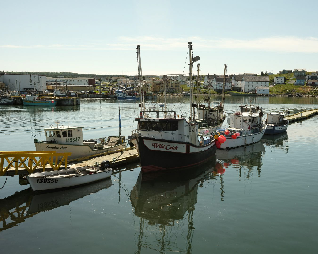 Newfoundland, Canada - 2023 - 01