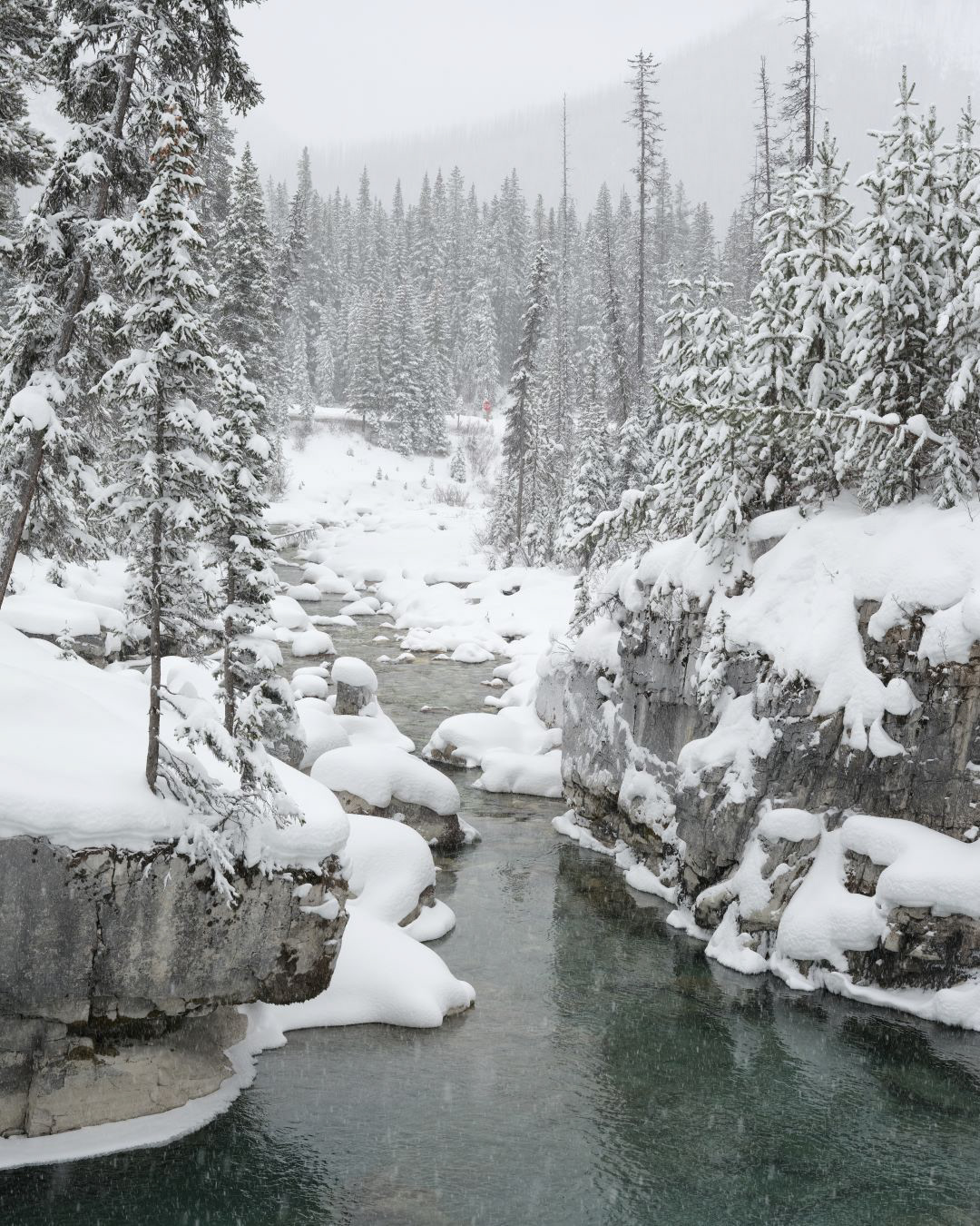 Winter in Canadian Rockies - 2023 - 13