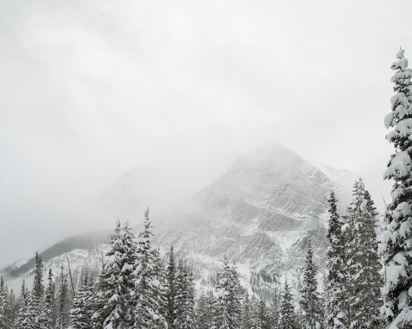 Winter in Canadian Rockies - 2023 - 07