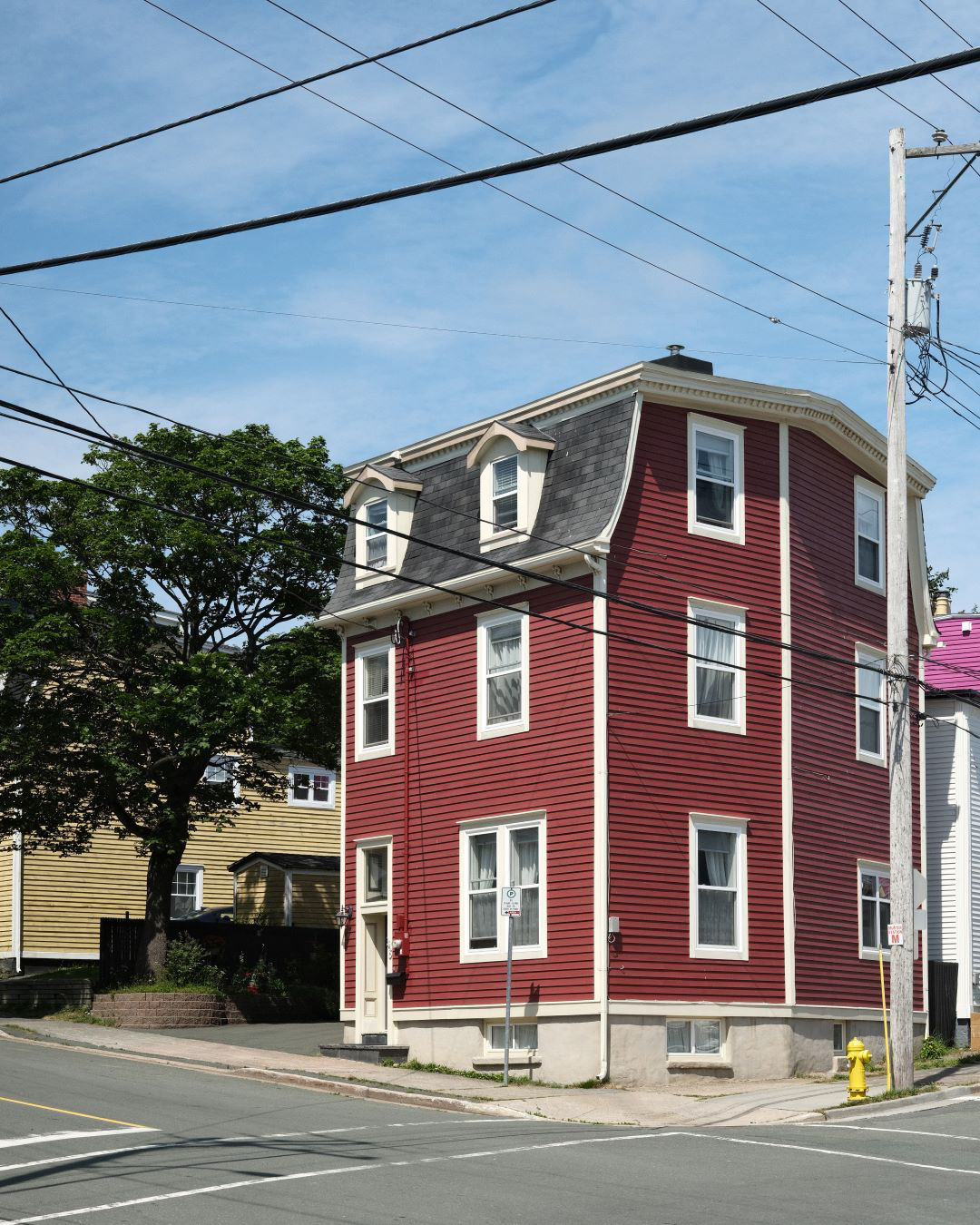 Newfoundland, Canada - 2023 - 64