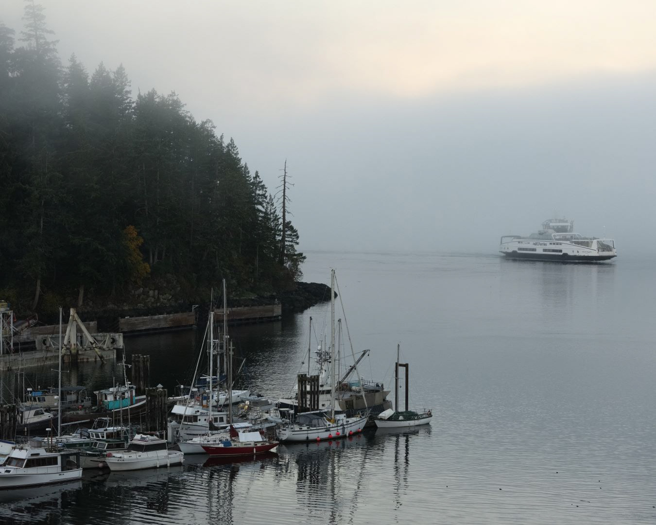 Vancouver Island, Canada - 2023 - 11