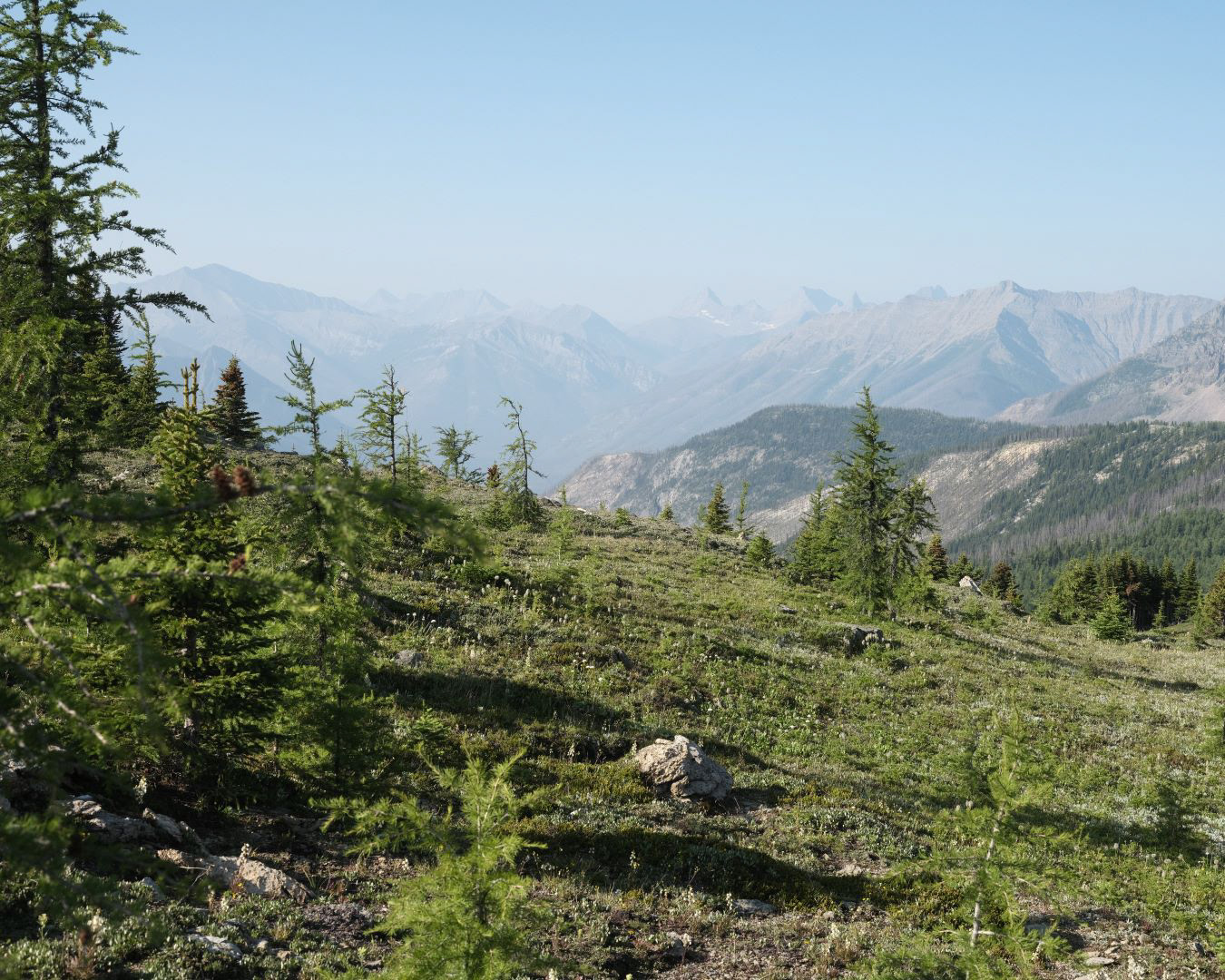 Summer in the Canadian Rockies - 2023 - 22