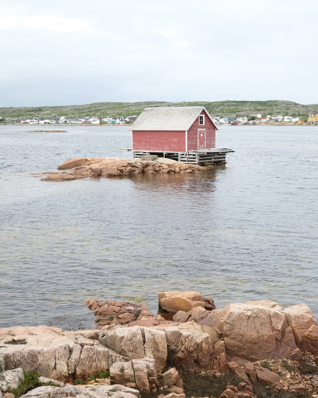 Newfoundland, Canada - 2023 - 28