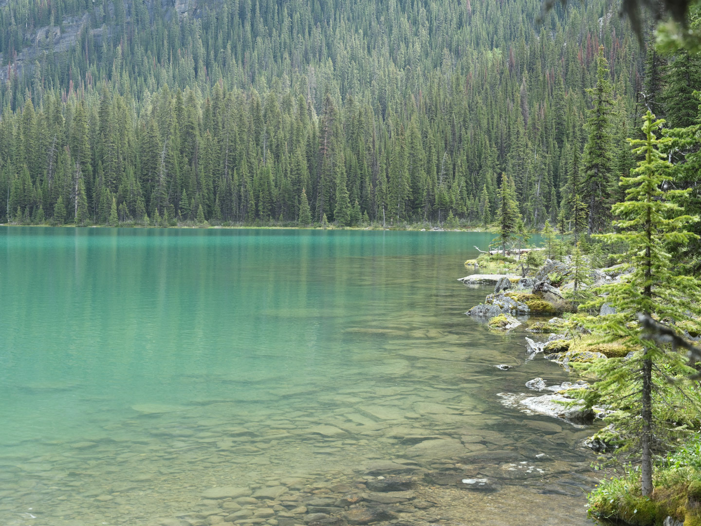 Summer in the Canadian Rockies - 2026 - 43