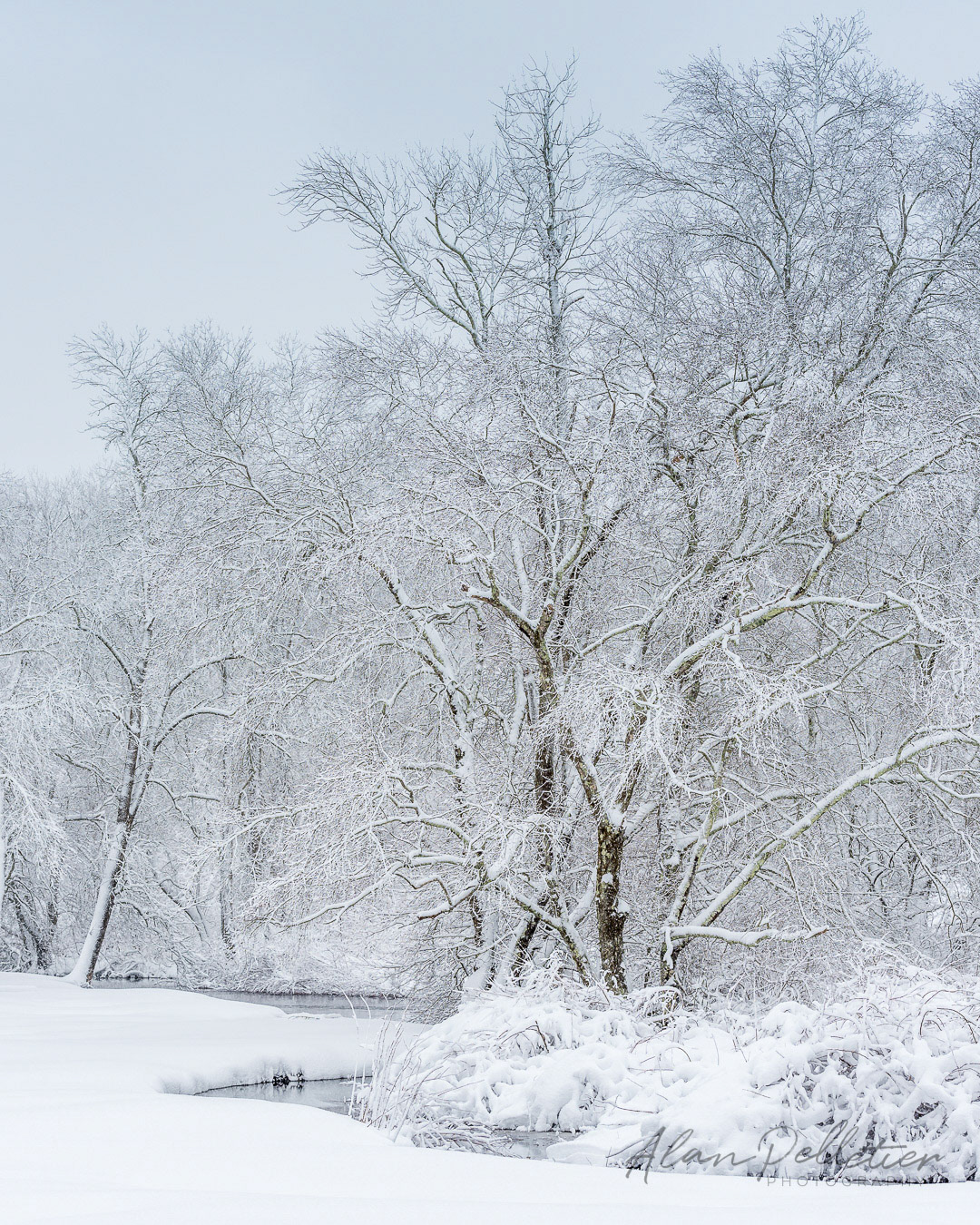 Winter wonderland by the brook