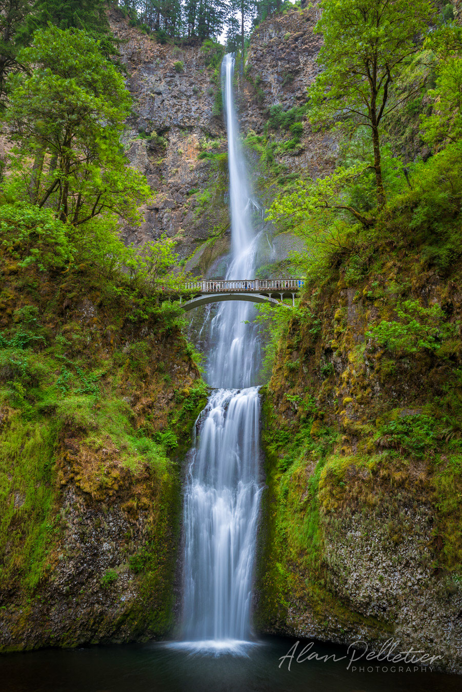 Multnomah Falls