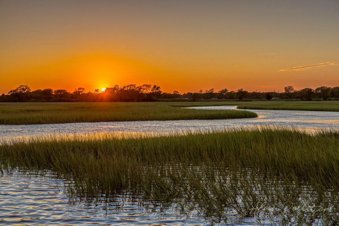 Shem Creek Sunset
