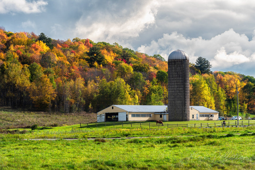 Autumn Farm
