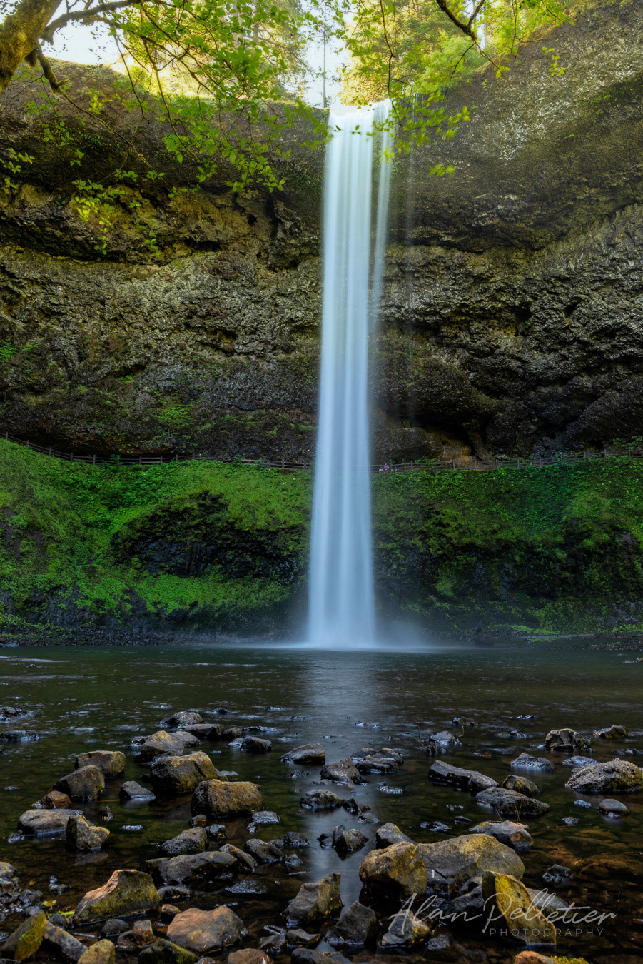 Silver Falls Sunshine