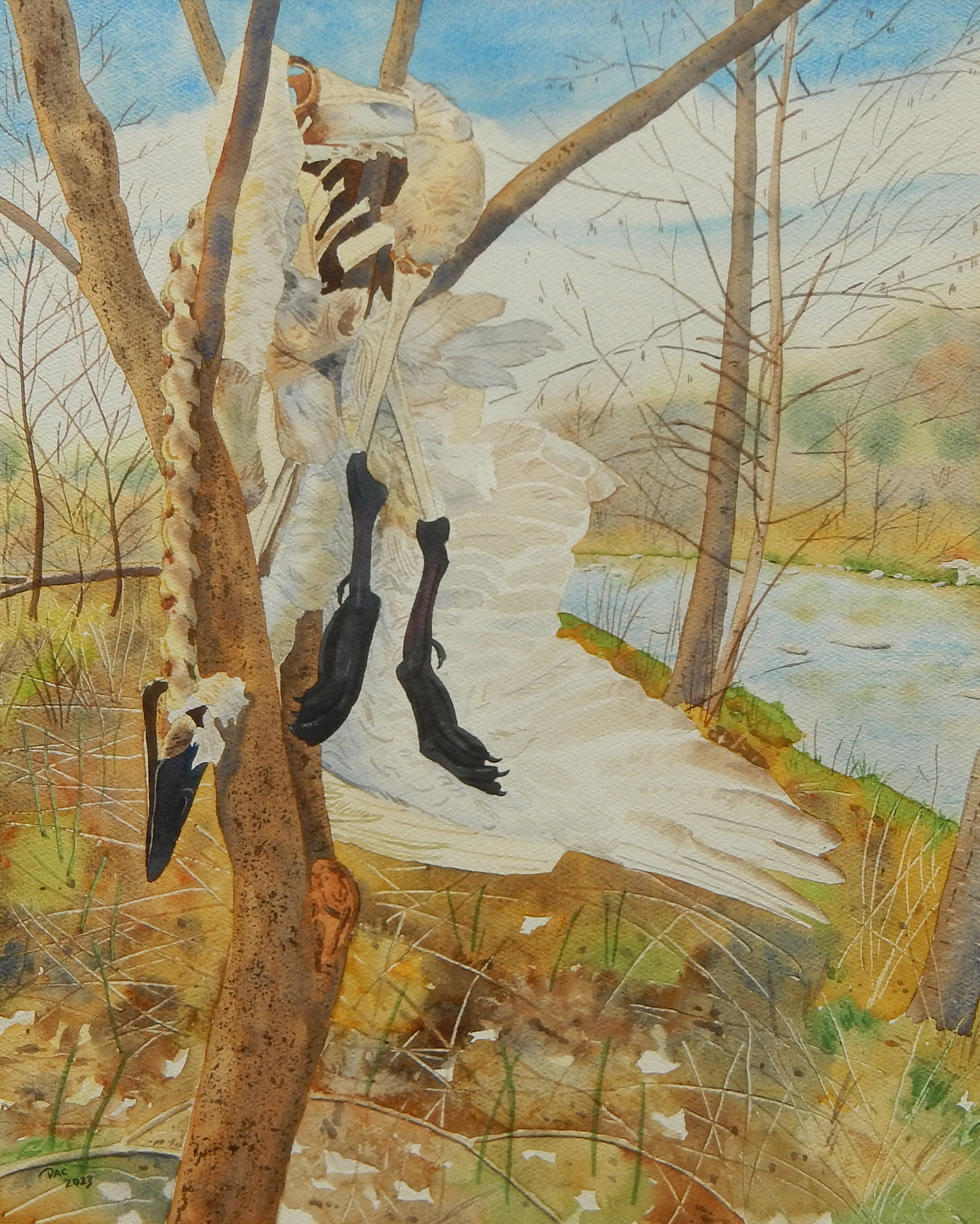 Bird Flu in the Rouge, Spring 2023, 16x20"