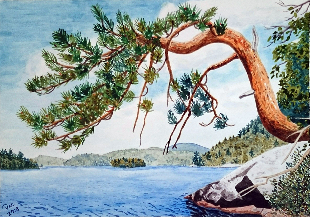 Red Pine, SE Corner of Lac McArthur, 9x12"