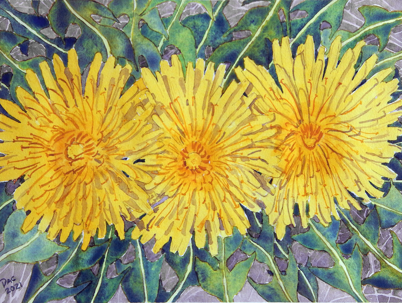 Dandelions, Twyn Rivers Drive, 9x12"