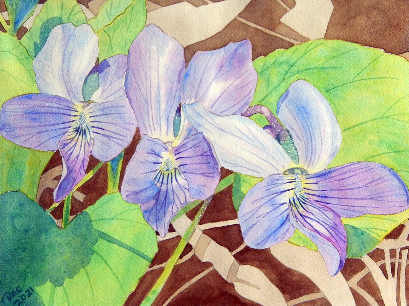Violet Trio, Little Rouge Valley, 9x12"