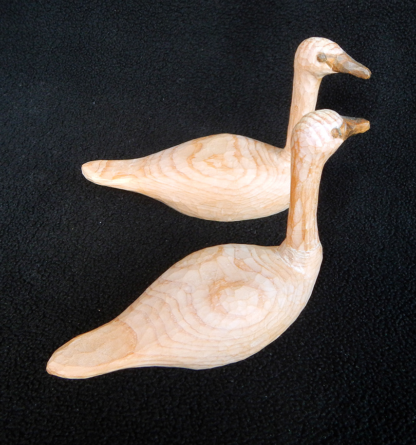Tundra Swans, white pine and acrylic