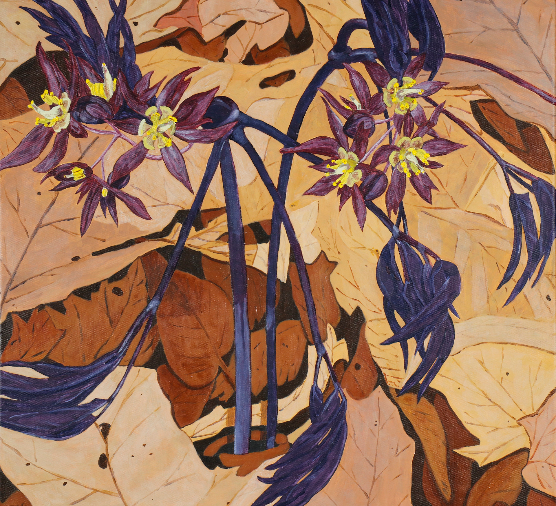 Blue Cohosh, Sewells-Finch Meander, 24x24"
