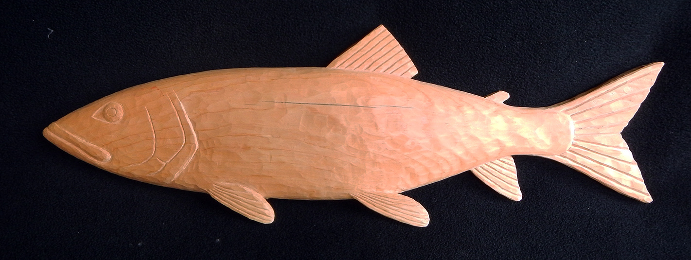 Lake Trout - white pine