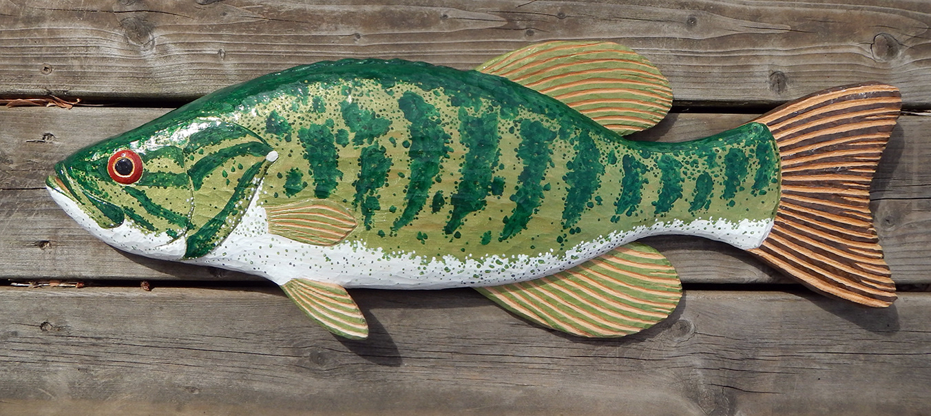 L'achigan - red cedar and acrylic, 25", 2022