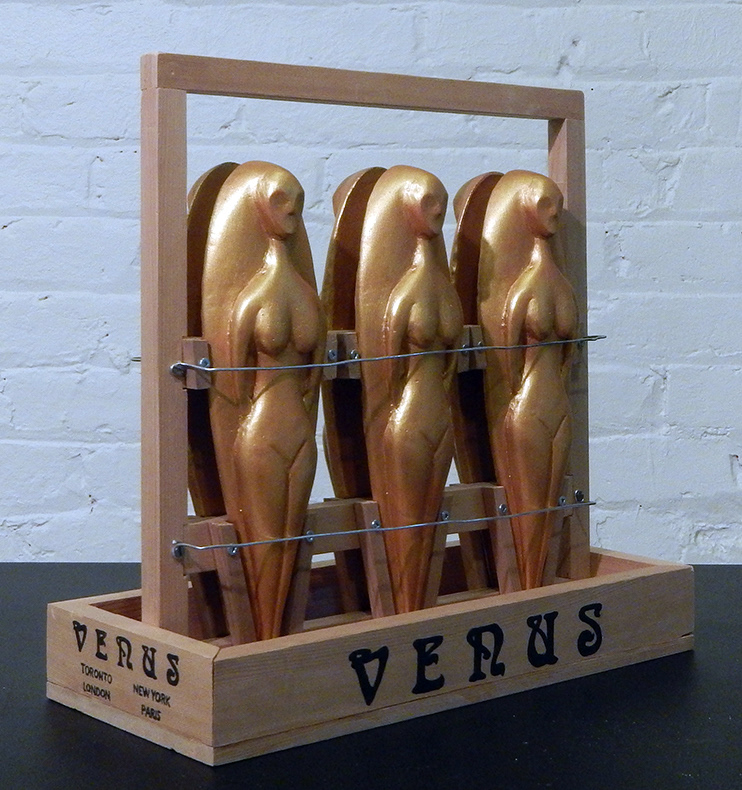 Venus 6-pack, cedar and wire