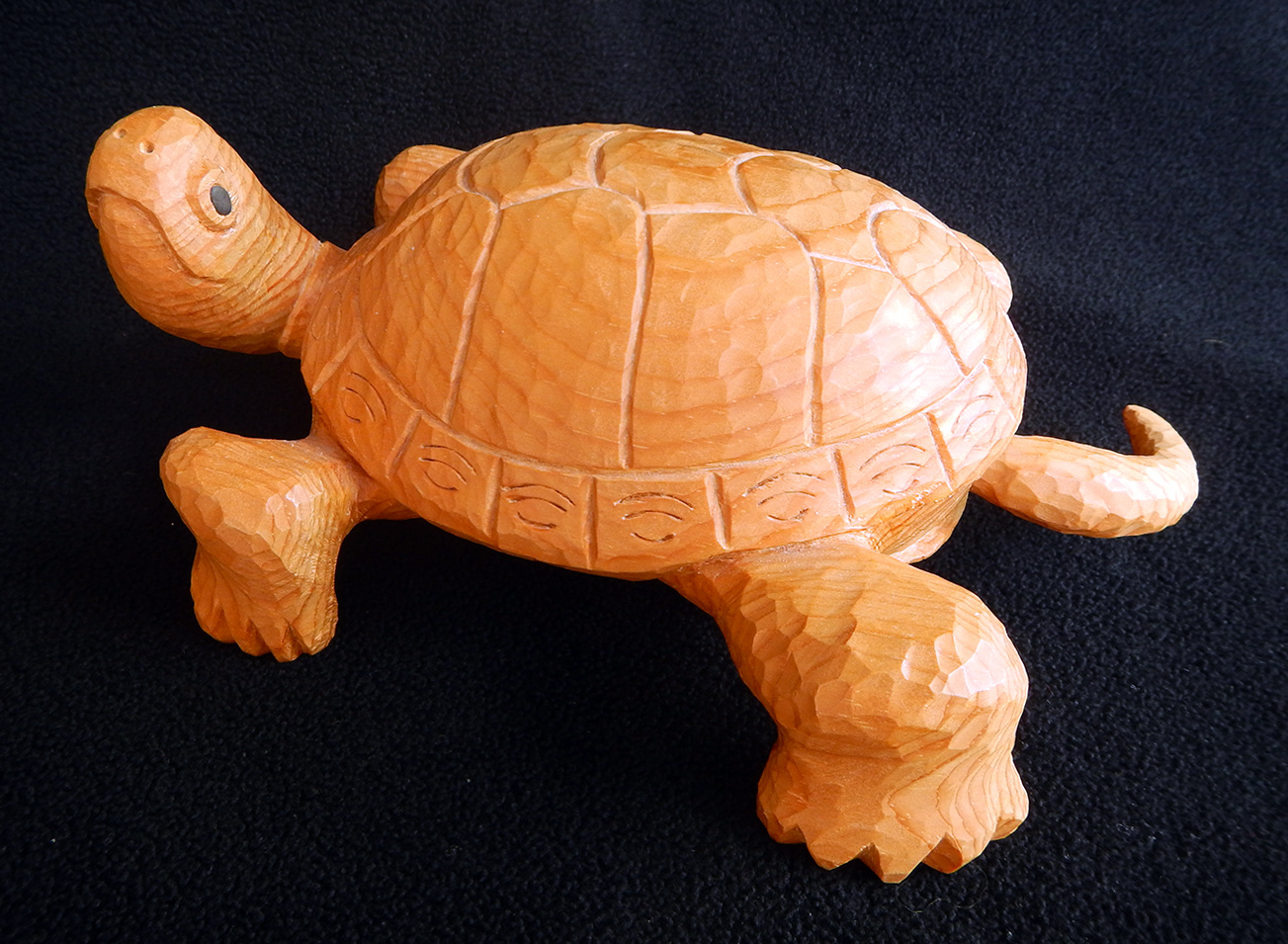 Painted Turtle, white pine
