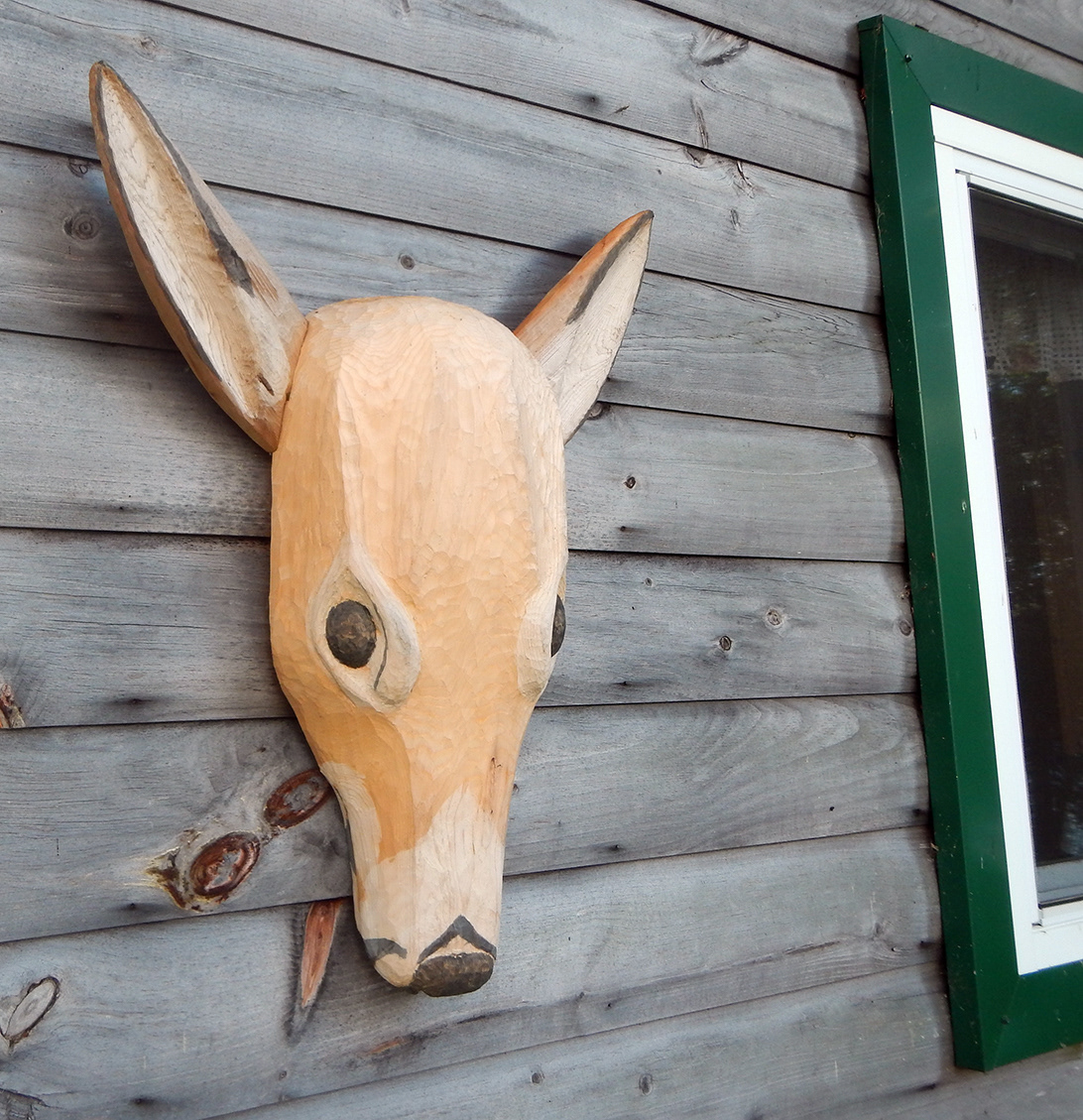 Heroic Doe, white cedar