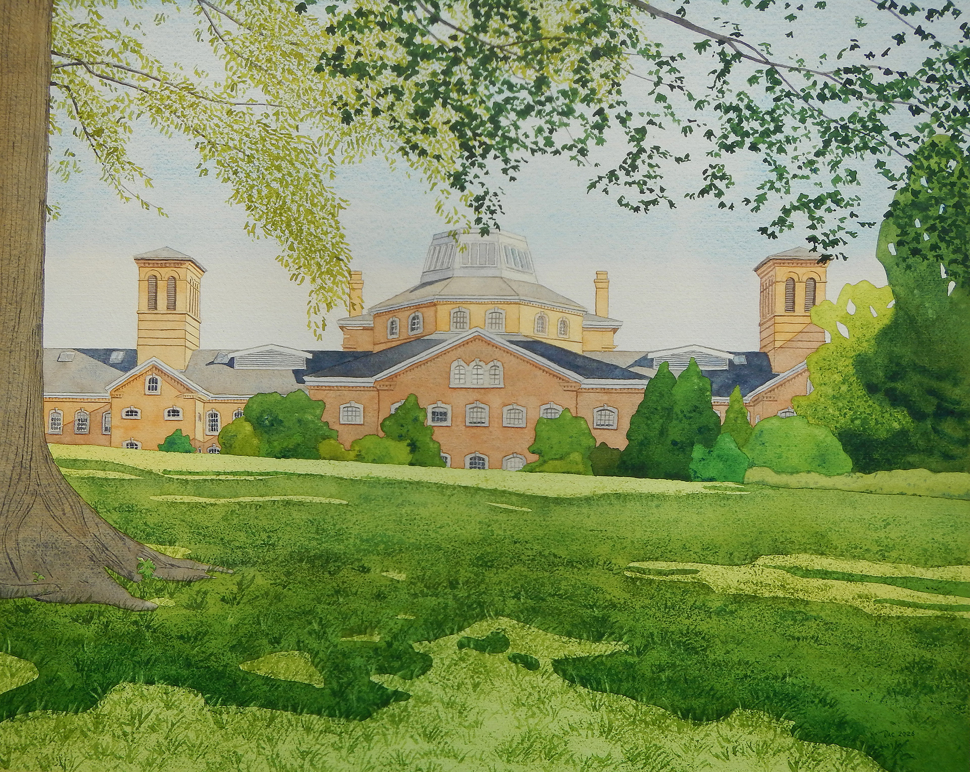 A Yellow Jail