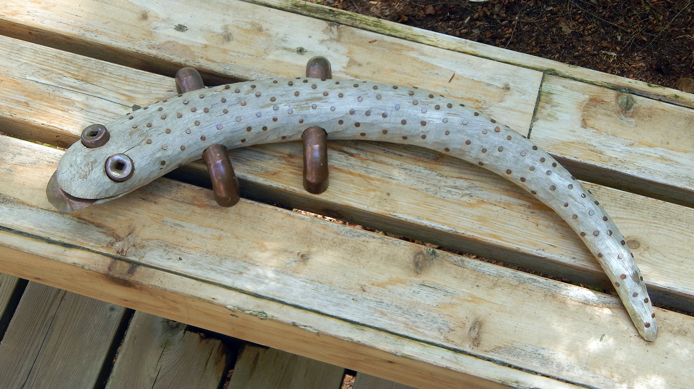 Spotted Salamander, cedar driftwood and copper