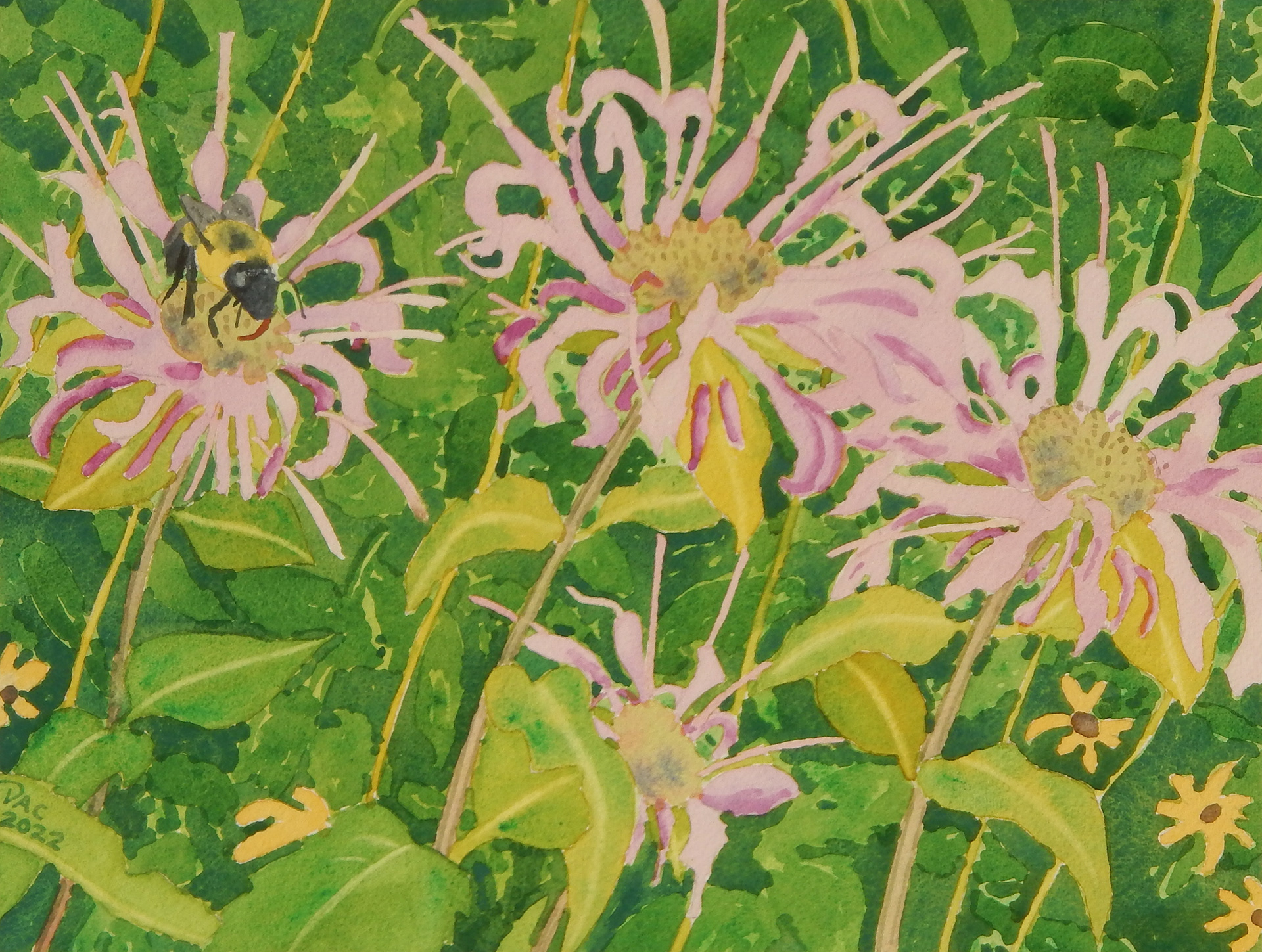 Bee Balm, East Point Park, 9x12"