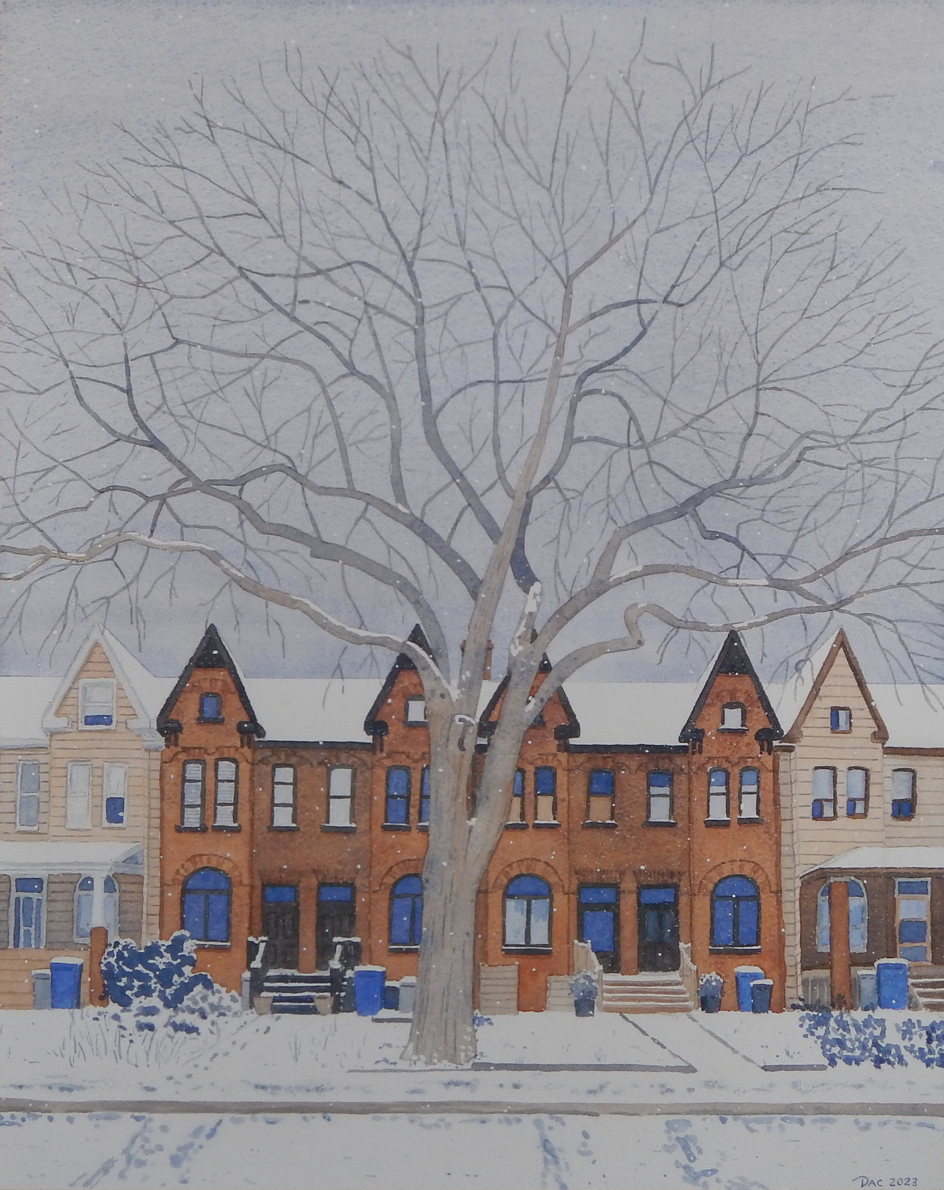 American Elm, First Avenue, Riverside (SOLD)