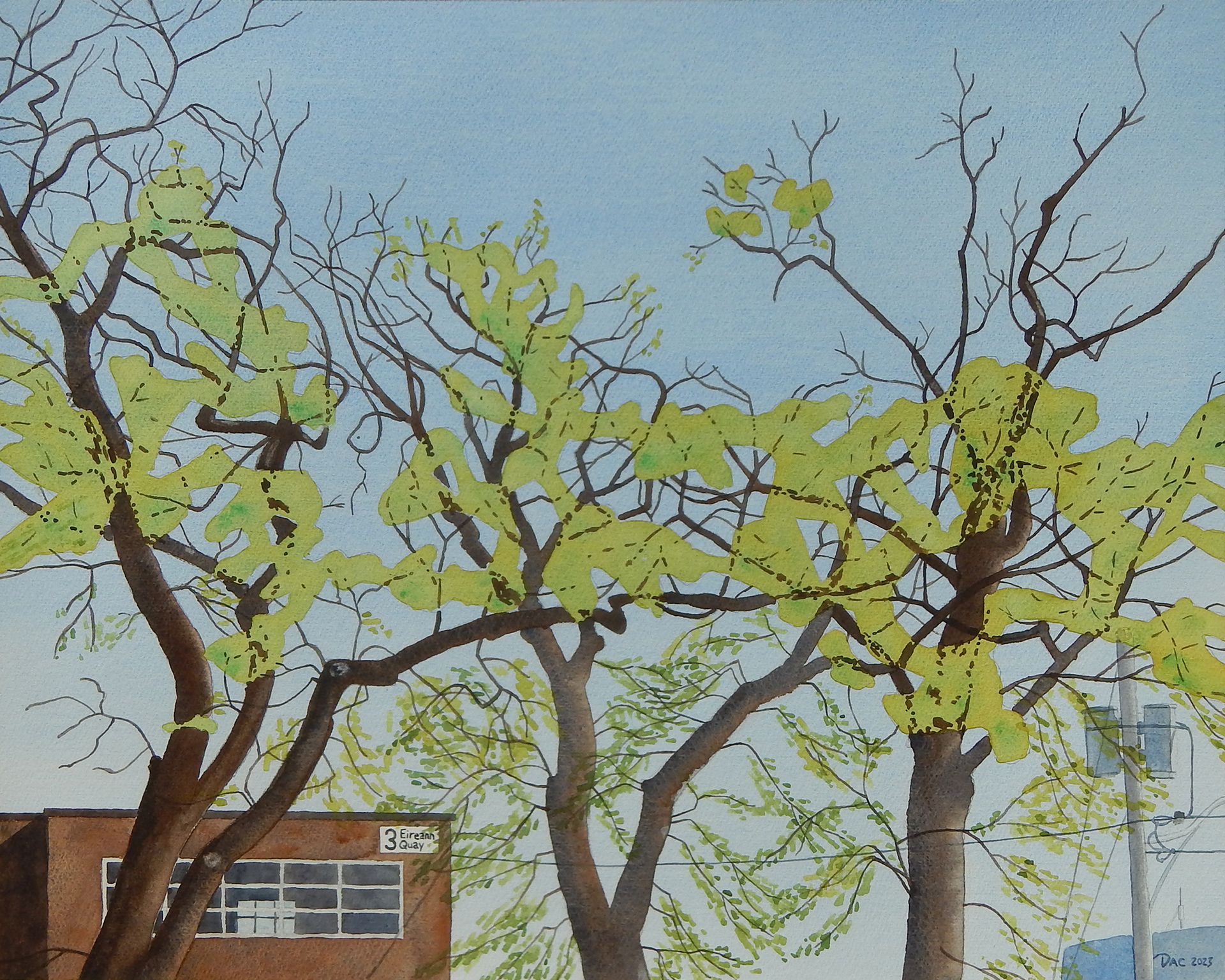 Siberian Elms, Eireann Quay, v.2